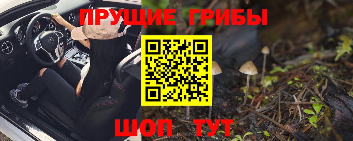 Галлюциногенные грибы Psilocybe  Вход с VPN  Апрелевка 