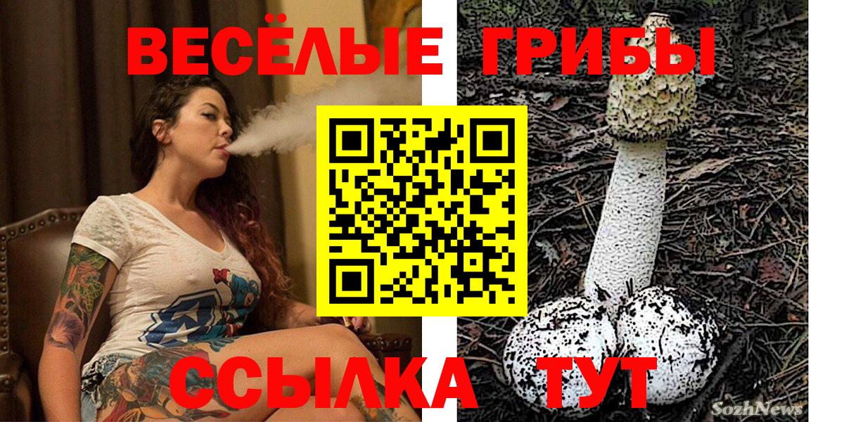 Псилоцибиновые грибы Cubensis Апрелевка